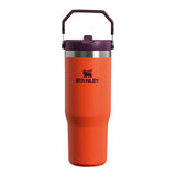 Stanley The IceFlow Flip Straw Vacuum-Insulated Tumbler